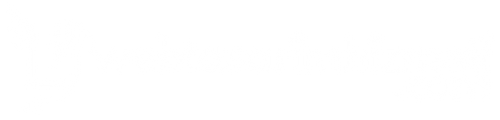 Web Tasarım Hizmeti Profesyonel Web Site Tasarımı