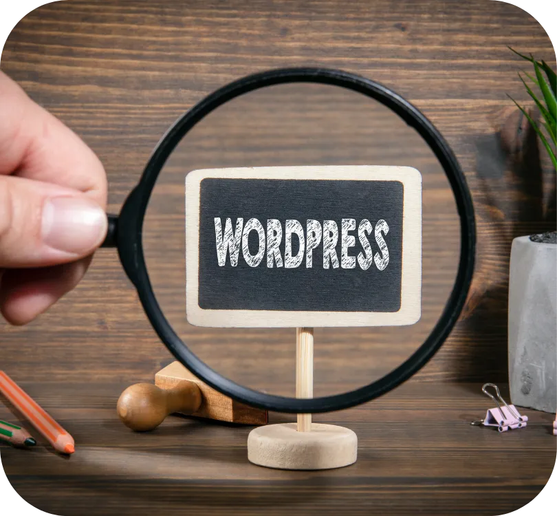 WordPress Bakım ve Teknik Destek